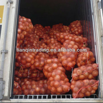 onion from shandong